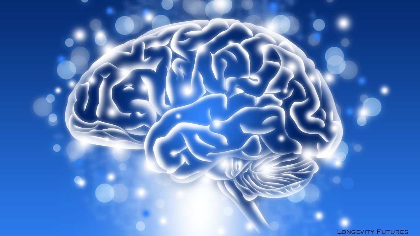 Brain Health & Longevity